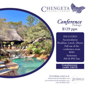 Flier for the Chengeta Safari Lodge conference package